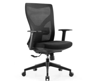 Ergonomic Office Chair with Lumbar Support