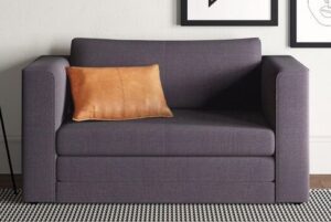 Sleeper Loveseat for Guest Accommodation