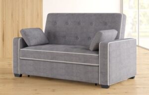 Sleeper Loveseat for Guest Accommodation