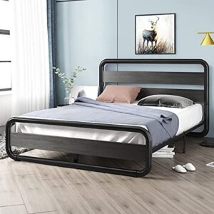 Industrial Chic Metal Platform Bed