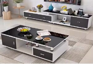 Minimalist TV Stand and Coffee Table Set in Monochrome Finish