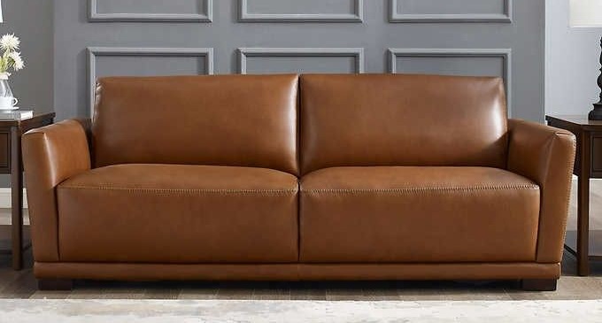 Leather Sleeper Sofas