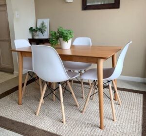 Mid-Century Modern Molded Plastic Dining Chair