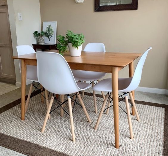 Mid-Century Modern Molded Plastic Dining Chair