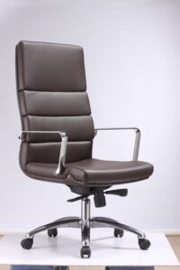 Executive Leather Guest Chairs