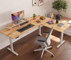 Convertible Standing Desk