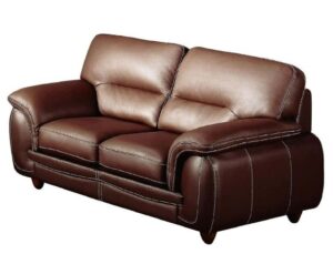 Contemporary Cool Leather Loveseat