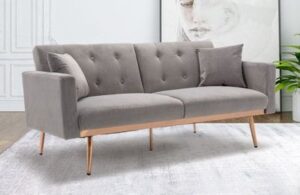 Sleek and Chic Futon Sofa