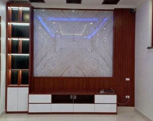 Sleek Wall-Mounted TV Panel with Storage Cabinets