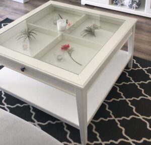 Acrylic Coffee Table