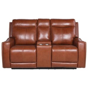 Contemporary Cool Leather Loveseat