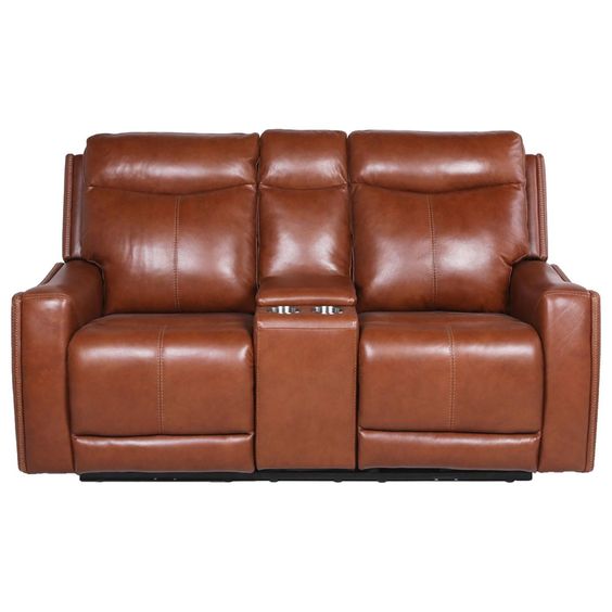 Contemporary Cool Leather Loveseat