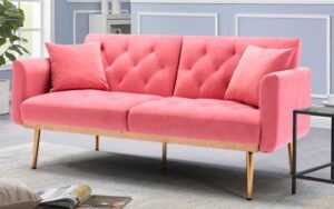 Sleek and Chic Futon Sofa