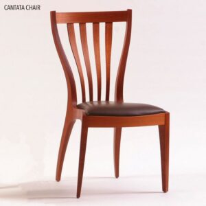 Bold Bentwood Wooden Dining Chair