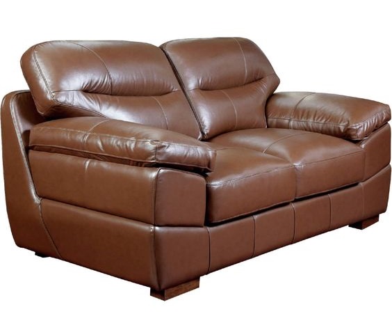 Contemporary Cool Leather Loveseat