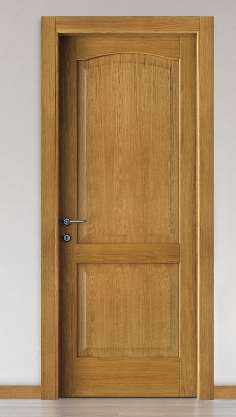 Classic Paneled Wooden Door
