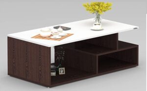 Square Center Table with Shelf