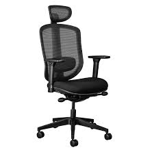 Black Ergonomic office Chair with lumbar support