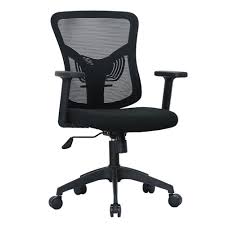 Executive Adjustable Ergonomic Office Chair with Lumbar Support