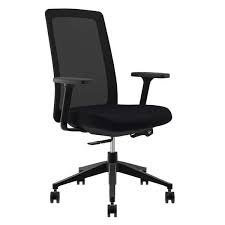Executive Adjustable Ergonomic Office Chair with Lumbar Support