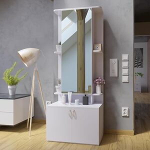 Full size affordable dressing mirror 