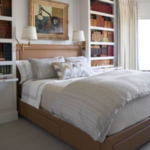 Murphy Bed with Bookshelf Surround