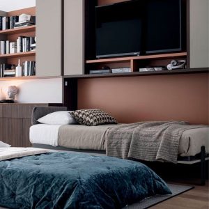Murphy Bed with Hidden TV Console