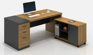 Contemporary Ergonomics office table