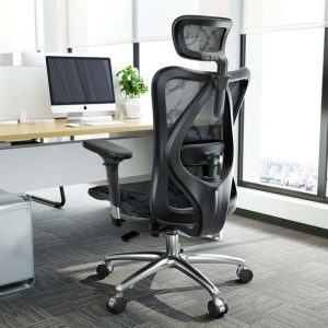 Ergonomic Mesh Back Office Chair