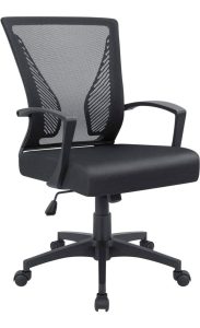 Ergonomic Mesh Back Office Chair