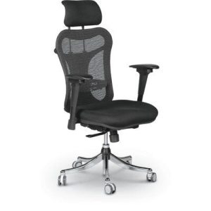 Ergonomic Mesh Back Office Chair
