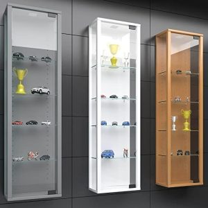 Wall-Mounted Glass Display Cabinet