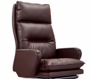 Contemporary Swivel Chair with Ottoman