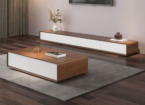 Leather-Wrapped TV Console with Matching Center Table