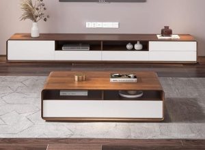 Leather-Wrapped TV Console with Matching Center Table