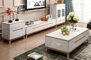 Monochrome TV Table and Center Table Set