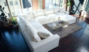 Plush Velvet U-Shaped Modular Sofa