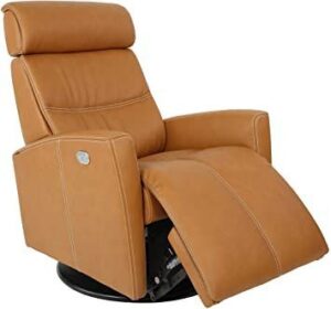 Adjustable Recliner Arm Chair