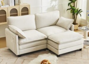 Cozy Loveseat and Ottoman Combo