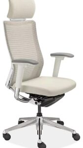 Modern Ergonomic Arm Chair for Office or Study