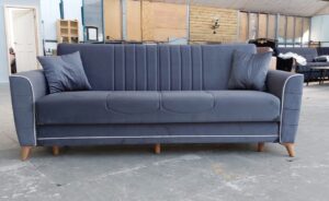 Sleeper Loveseat for Guest Accommodation