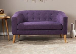 2-Seater Mid-Century Modern Loveseat