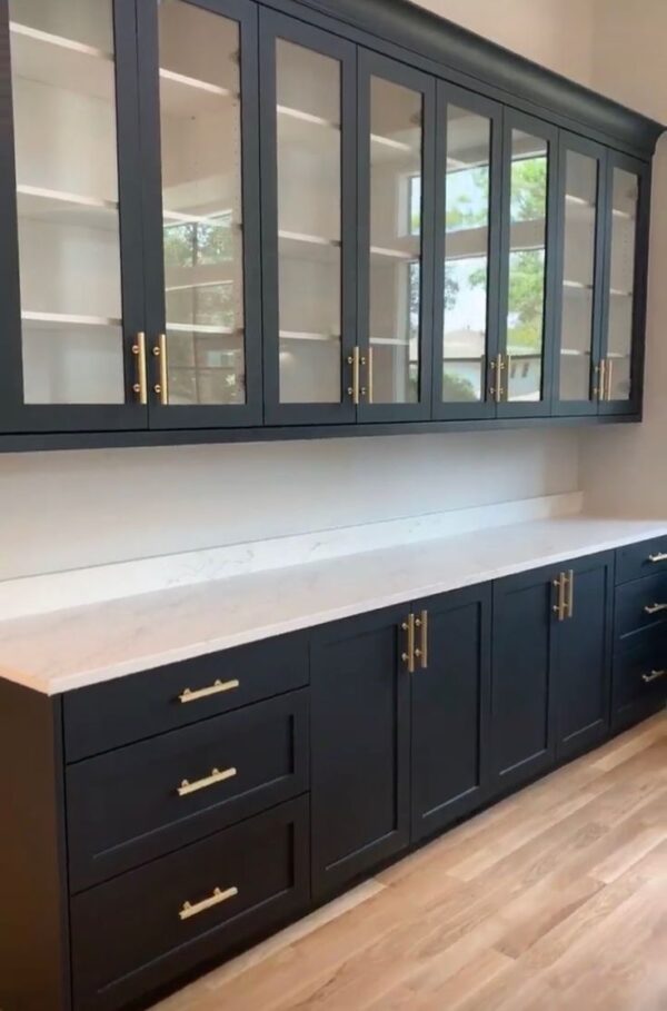 Sleek Black Kitchen Cabinet