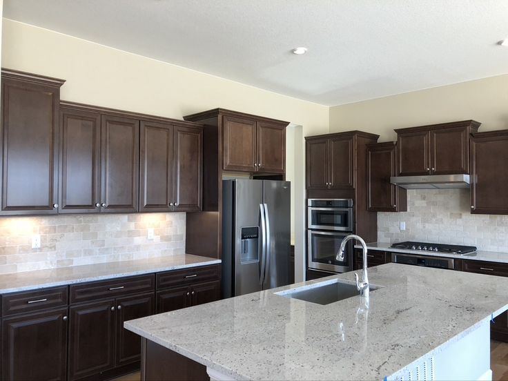 Transitional Kitchen Cabinets Transitional Kitchen Cabinets