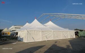 Peg and Pole Tent